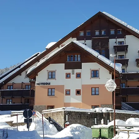 Nevesole Folgarida Resort Aparthotel-2